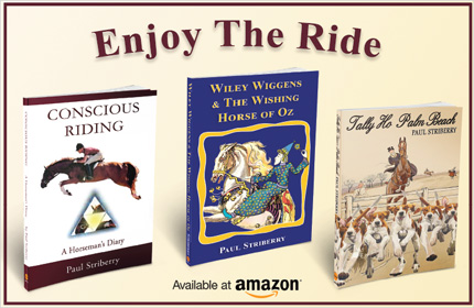 Enjoy the Ride with Paul Striberry